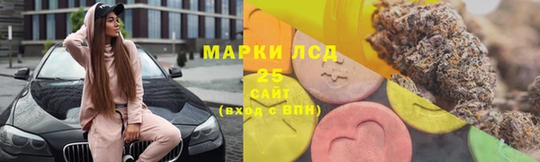 индика Семикаракорск