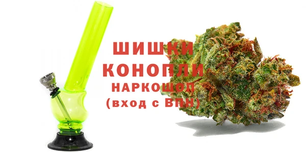 индика Семикаракорск