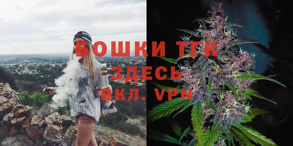 индика Семикаракорск