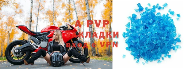 индика Семикаракорск