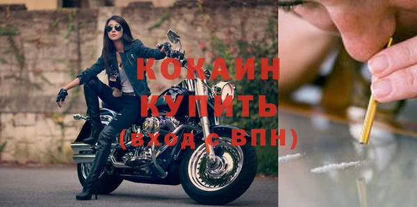 индика Семикаракорск