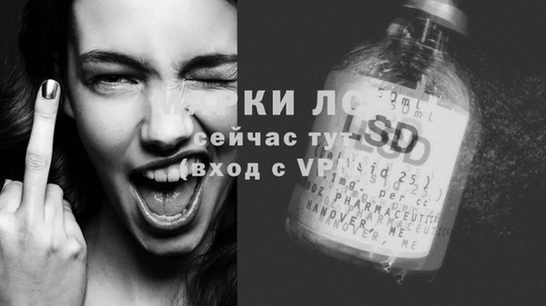 индика Семикаракорск