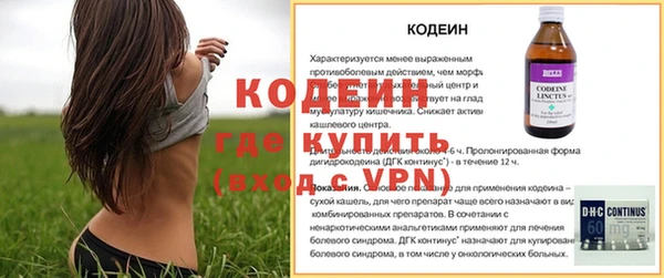 индика Семикаракорск
