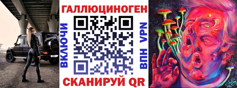 Купить закладки  Сальск  Псилоцибиновые грибы GOLDEN TEACHER 